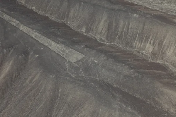 Las líneas de nasca en perú —  Fotos de Stock