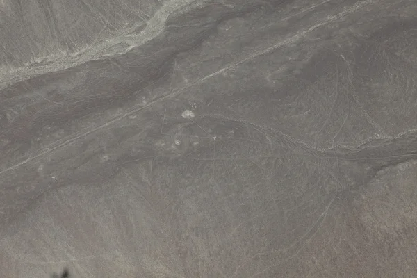 Poušti nazca v peru — Stock fotografie