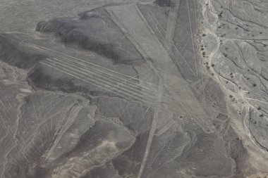 Peru'daki nazca çizgileri