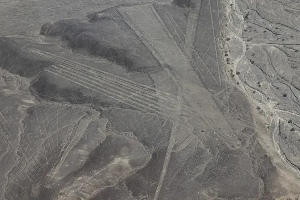 A nazca-vonalakat, Peru — Stock Fotó