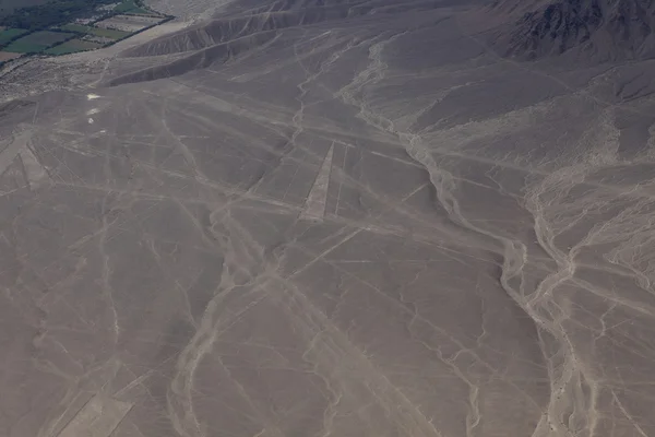 Na planině Nazca v peru — Stock fotografie