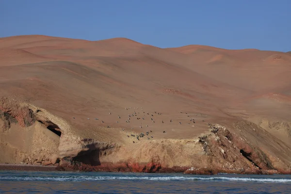 Candelabro Paracas Perù — Foto Stock