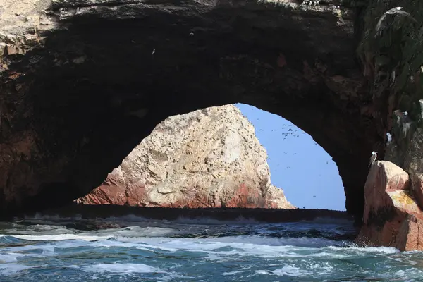 Islas Ballestas Perú — Foto de Stock