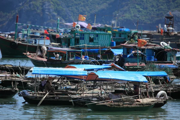 В'єтнам ha long bay Ліцензійні Стокові Зображення