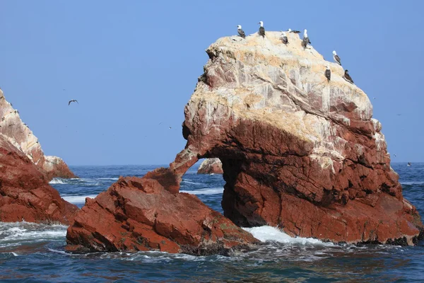 Islas Ballestas Perú — Foto de Stock