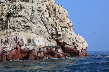 Islas Ballestas Peru