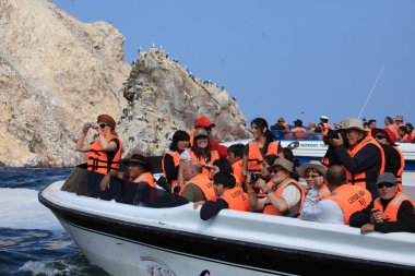 Tourist Tour Islas Ballestas clipart