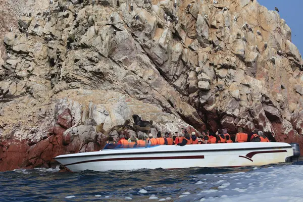 Islas Ballestas Peru — Zdjęcie stockowe