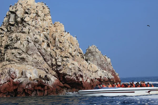 Islas Ballestas Peru — Zdjęcie stockowe