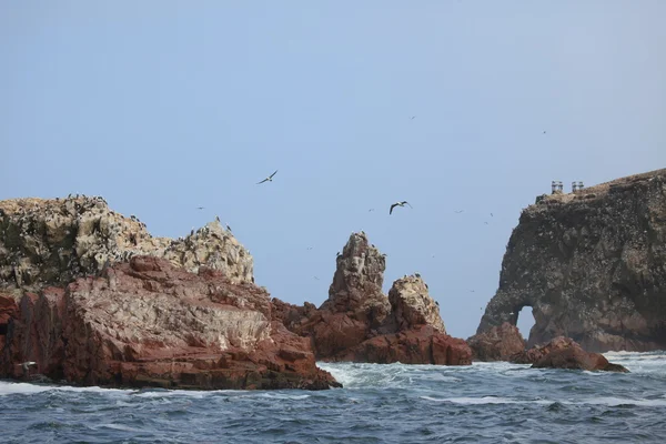 Islas Ballestas Peru — Zdjęcie stockowe