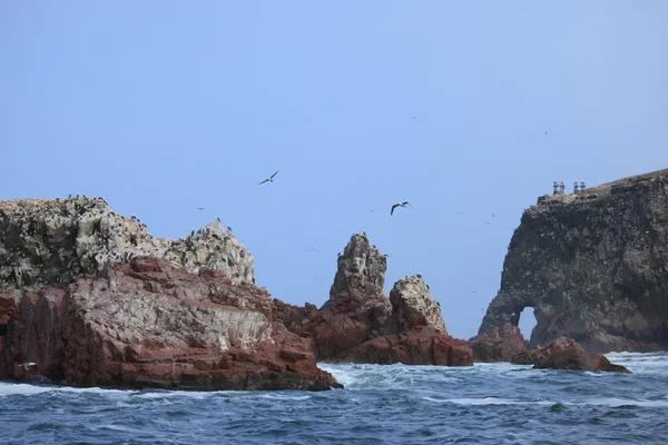 Islas Ballestas Peru — Stockfoto