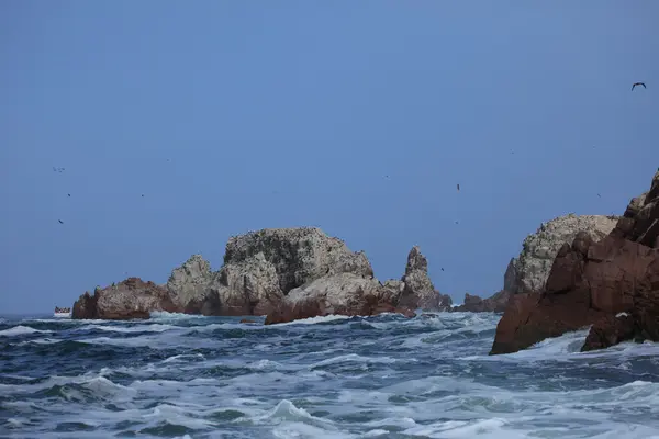 Islas Ballestas Perú —  Fotos de Stock