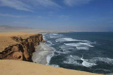 milli park paracas Peru