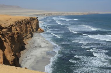 milli park paracas Peru