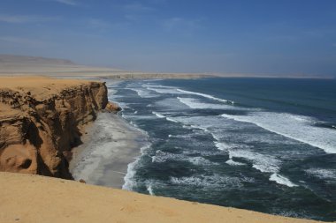 milli park paracas Peru