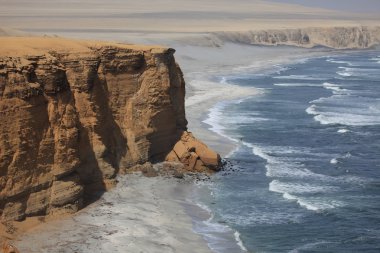 milli park paracas Peru
