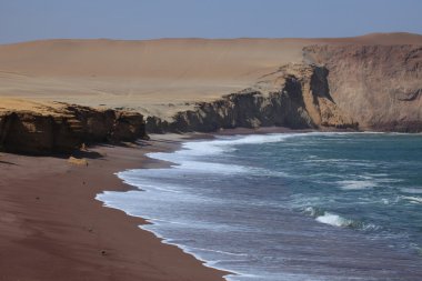 milli park paracas Peru