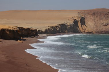 milli park paracas Peru