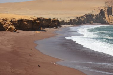 milli park paracas Peru