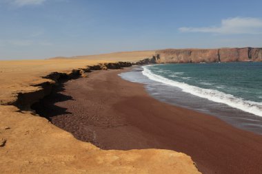 milli park paracas Peru