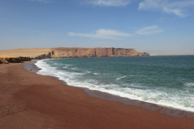 milli park paracas Peru