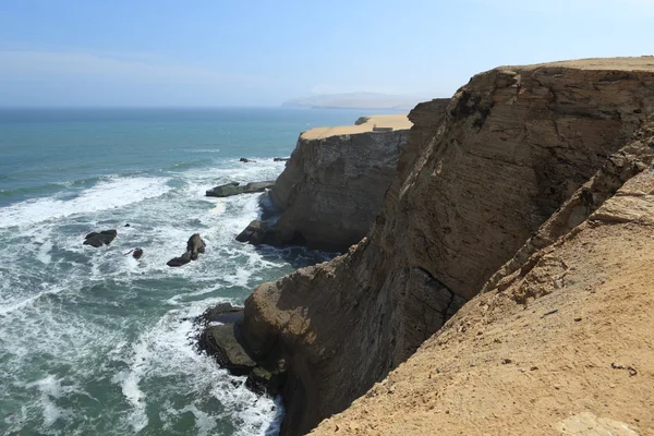 Park narodowy paracas w peru — Zdjęcie stockowe