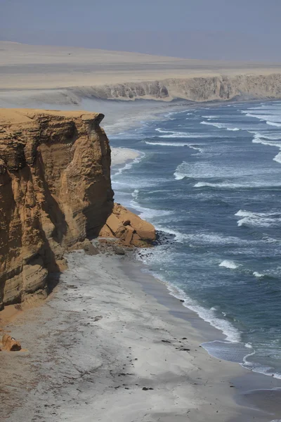 Park narodowy paracas w peru — Zdjęcie stockowe