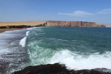 milli park paracas Peru