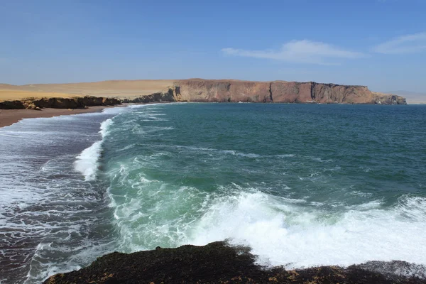 Parque nacional de paracas no Peru — Fotografia de Stock