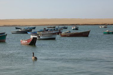 Peru paracas liman