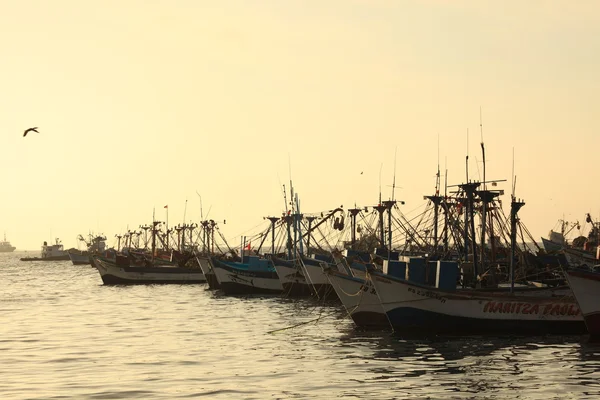 Il porto di Paracas in Perù — Foto Stock