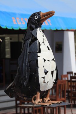 Humbolt penguen Islas ballestas peru