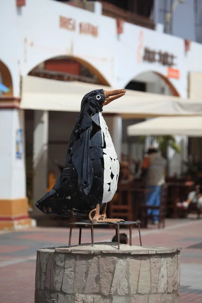 Humbolt penguen Islas ballestas peru