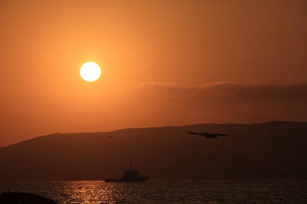 Barco de pesca al atardecer — Foto de Stock