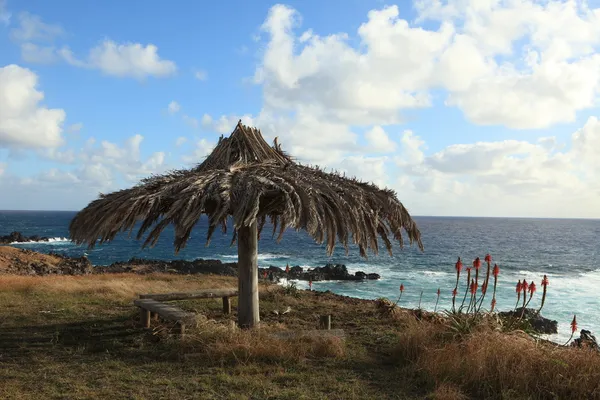 Isola di Pasqua chile — Foto Stock