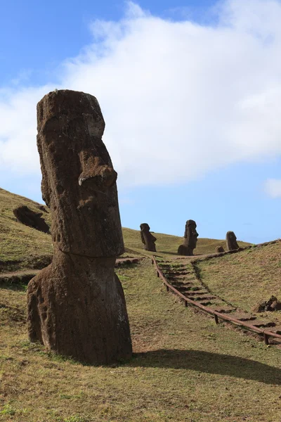 Pasen eiland moai standbeeld — Stockfoto