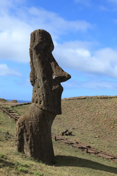 Pomnik moai z Wyspy Wielkanocnej — Zdjęcie stockowe