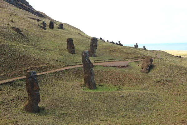 Velikonoční ostrov moai socha — Stock fotografie