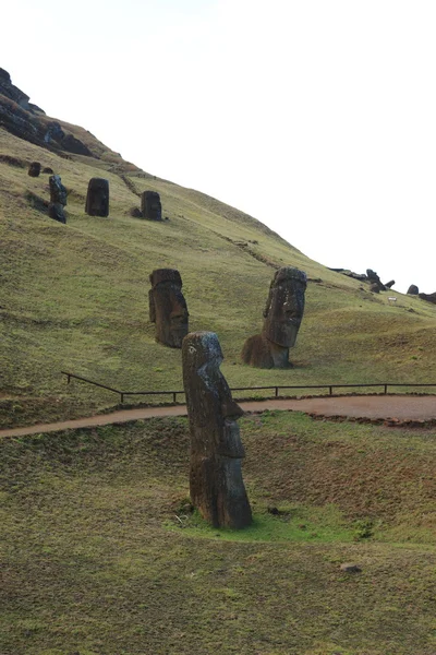 Velikonoční ostrov moai socha — Stock fotografie