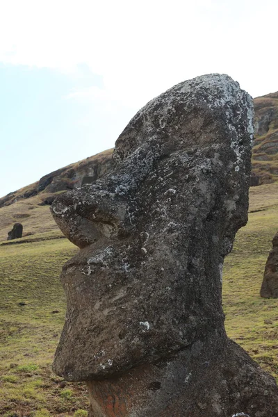 Páscoa ilha moai estátua — Fotografia de Stock