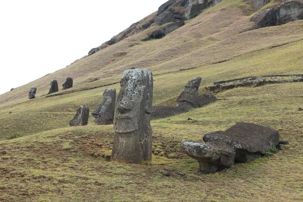 Moais op Paaseiland — Stockfoto