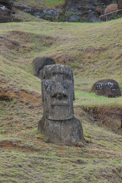 Moais en Isla de Pascua —  Fotos de Stock