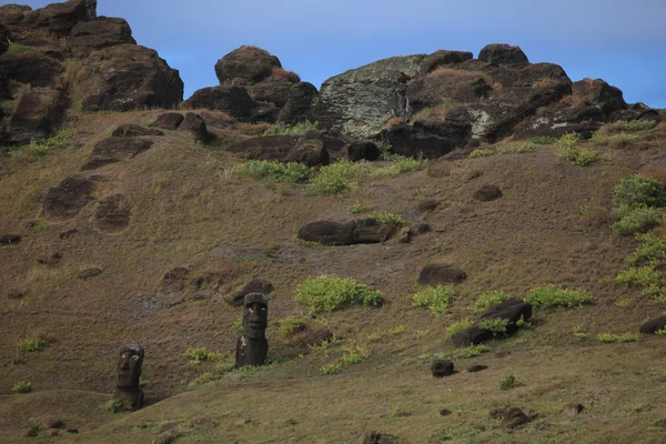 Moais à l'île de Pâques — Photo