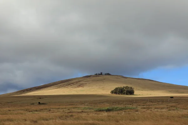 Easter Island Landscape — Stock Photo, Image