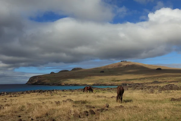 Easter Island Landscape — Stock Photo, Image