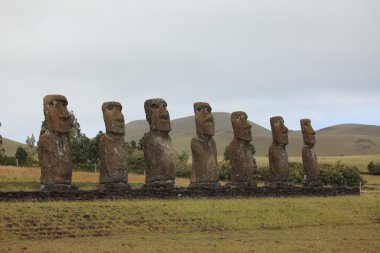 Moai heykeli Paskalya Adası