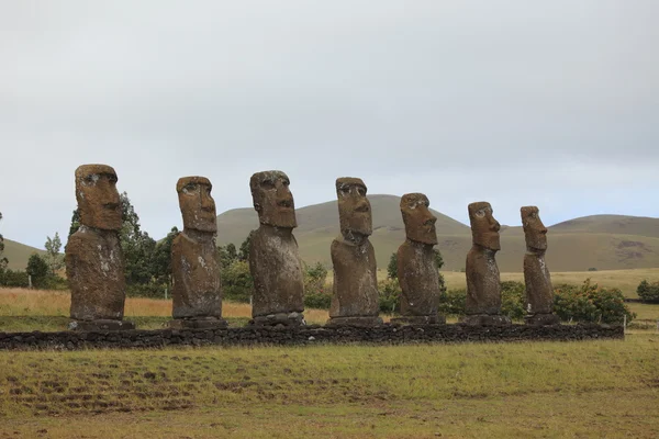 Estátua de Moai Ilha de Páscoa — Fotografia de Stock
