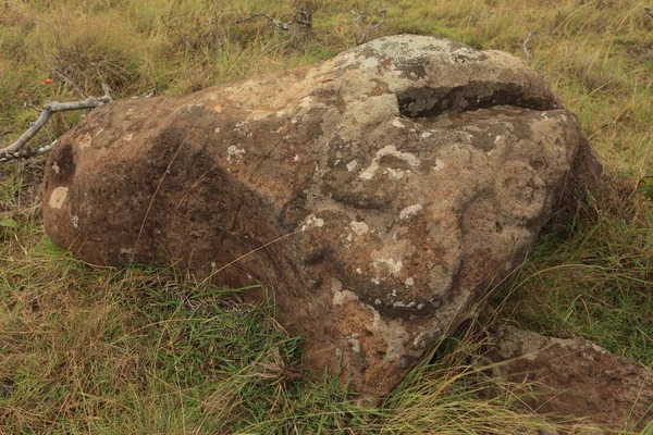 Moai standbeeld Pasen eiland — Stockfoto