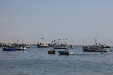 Harbor paracas Peru