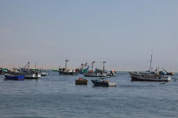 Porto de Paracas Peru — Fotografia de Stock